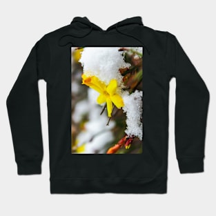 Yellow flower in a crown of fresh snow Hoodie